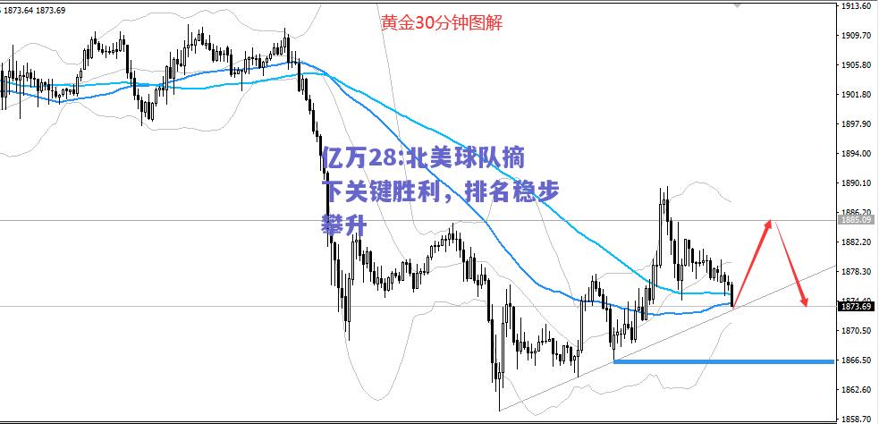 亿万28:北美球队摘下关键胜利，排名稳步攀升