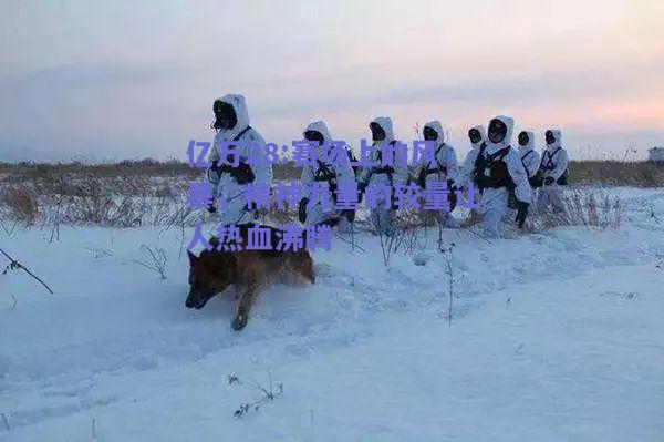 亿万28:赛场上的风暴，精神力量的较量让人热血沸腾